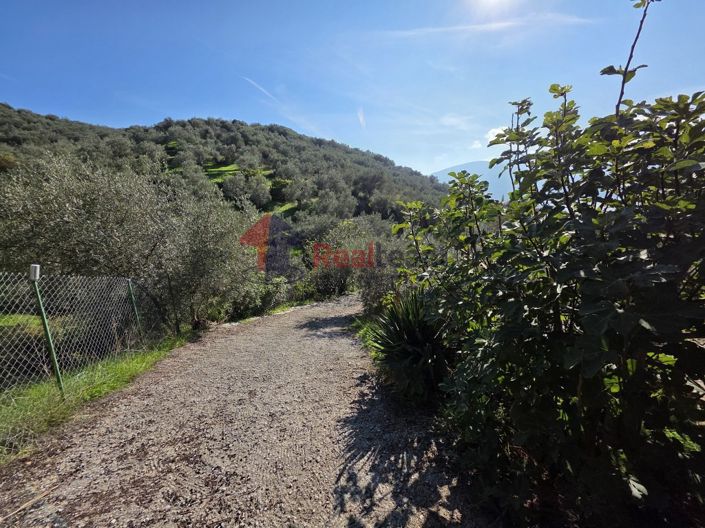 Image No.9-Property for sale