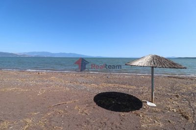 e8ca32b2c2174dabaead950ae3e06b3b