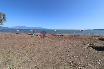 a138a774728a47599b2faf5258c5b1d7