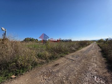 25dc6ee177d8464d98e628f47806d541