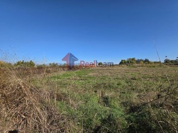 f76755bb66c445b180e59f44e876d29b