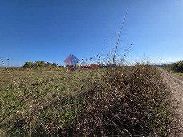 0f070eeae94640d29b5175f39f74f67b