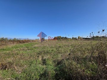 ed9cf0c2349b45029f56c6b0d6aa5390