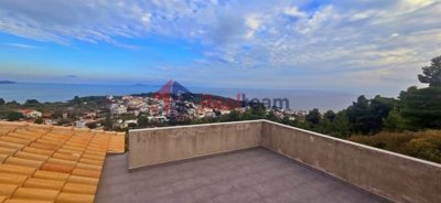 53e1a1d927b3465e80e39858cc18b2a1