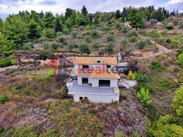 905f9165c8914459b9b928894b18b629