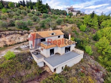 e2f581c9491847c3a5ec807b61ee9995