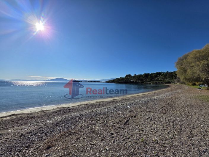 Image No.4-Propriété à vendre à Nea Agchialos