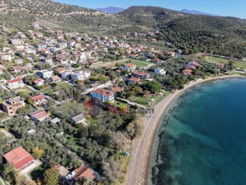 747fbb104e4647788df9cfdc85161b45