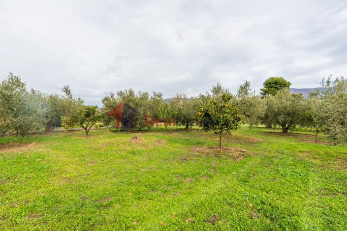 Image No.23-3 Bed Property for sale