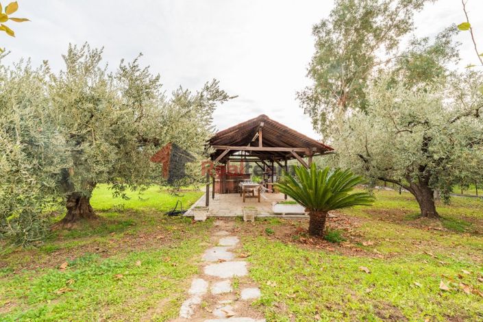 Image No.24-3 Bed Property for sale