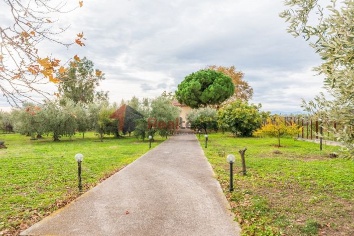 Image No.26-3 Bed Property for sale