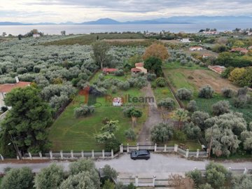 ea2e418af0334d549845e374025c11d0