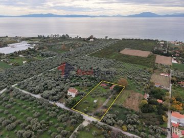 acf97c72d9554832824d97a569c57785