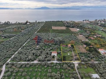 6c584f4859f04e539746134e25fa4913