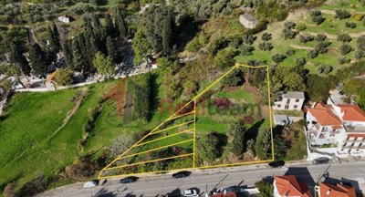 2d4b8072388a4f8aafa194e6c25f2816