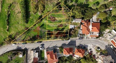 cf7125f731924845854d12d46229c826