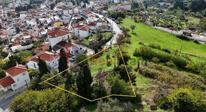 Image No.19-Propriété à vendre à Chora