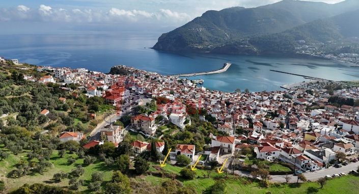 Image No.3-Propriété à vendre à Chora