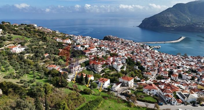 Image No.4-Propriété à vendre à Chora