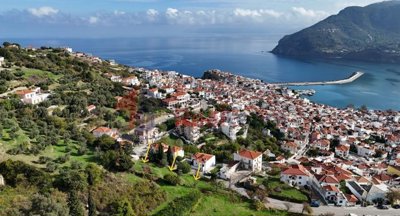 50b208b03c3f4894b64fef313d6ff581