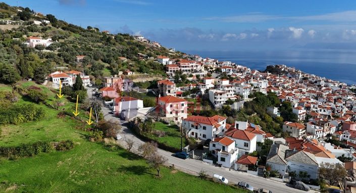 Image No.6-Propriété à vendre à Chora