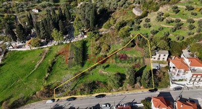 a319e436f47844408869a166fbbac2b5