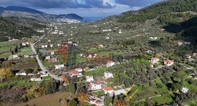 dcdb8bf29e6046ed9cfba7ff473c5c56