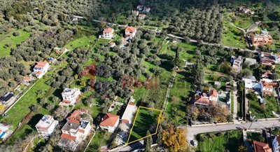 c16e89575a394bf48c007122c4a2a0b5