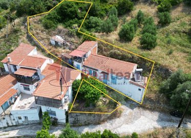 74dd763a1dec4e2e9c1887b53d78b274