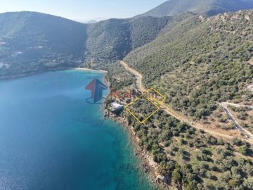 e71b5e78b409454d9421cd85826ce305