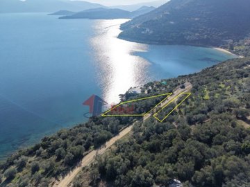 a4ff58157dbe493dac84256582ec0ff4