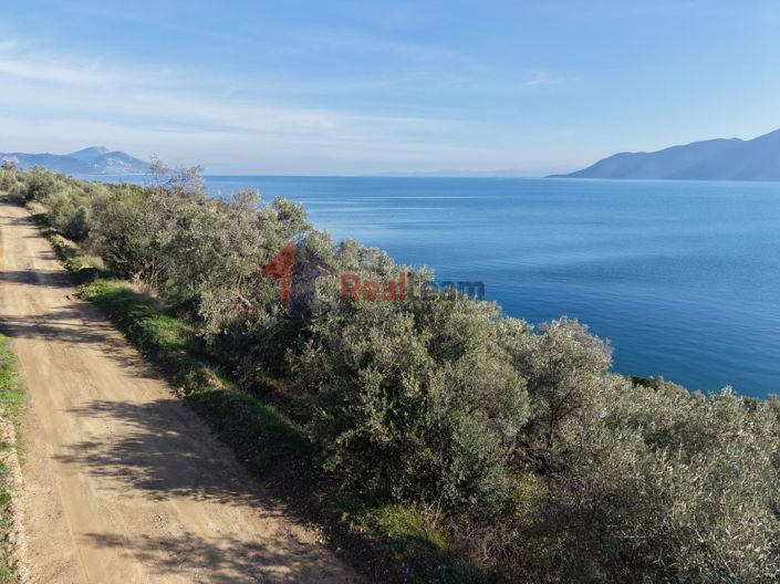 Image No.19-Propriété à vendre à Pteleos