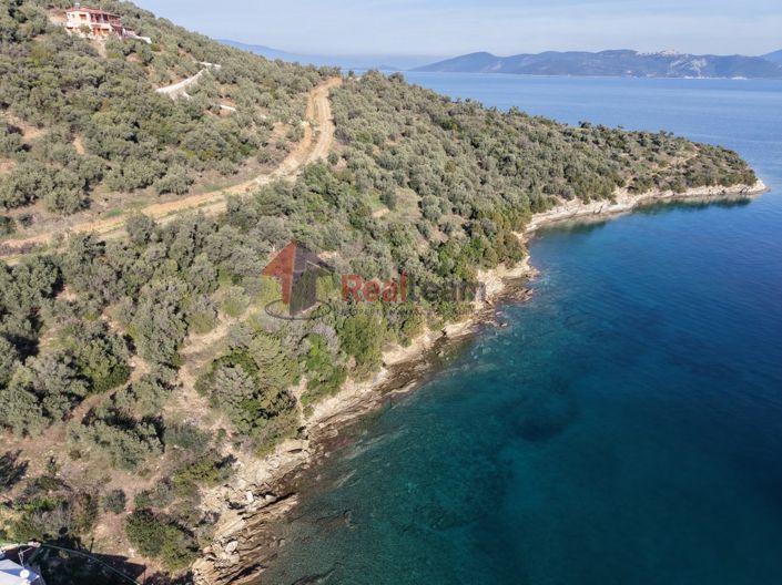 Image No.21-Propriété à vendre à Pteleos