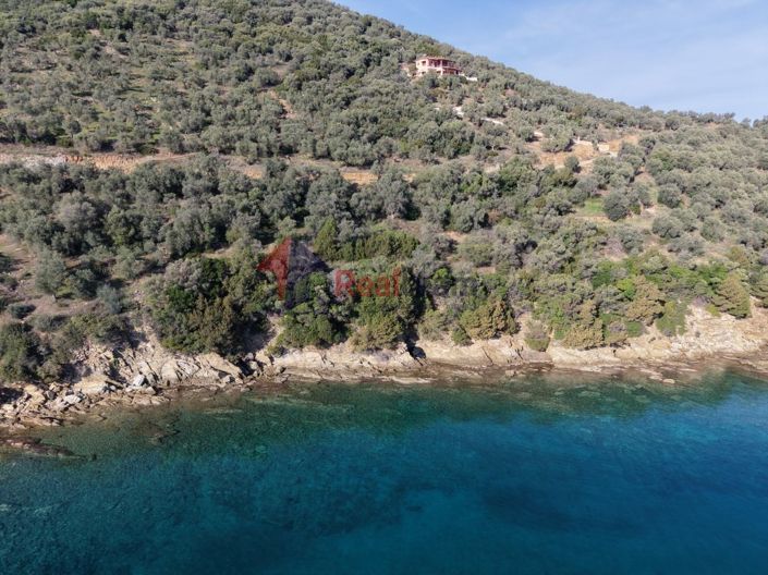 Image No.23-Propriété à vendre à Pteleos