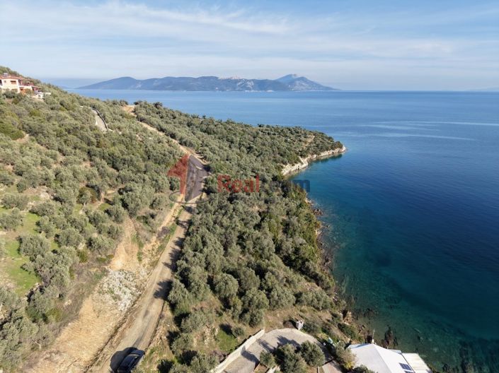 Image No.4-Propriété à vendre à Pteleos