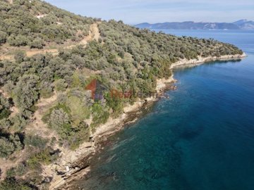 591efb88198f4d678d87c05bf72dd6bf