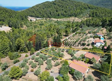 1 - Ditropo, Property