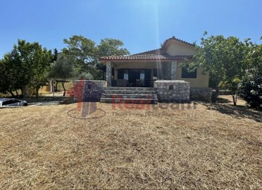 78150d057e2042a2aea773844a5ed28b