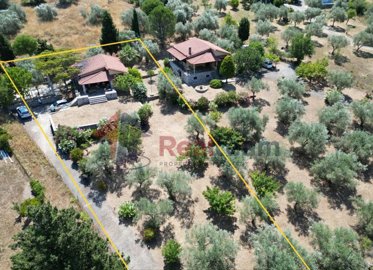 0da458060cc248e8b0800e78faa9fca2