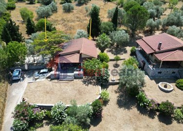 032caa674caf45febf4bfbb6c7826c6b