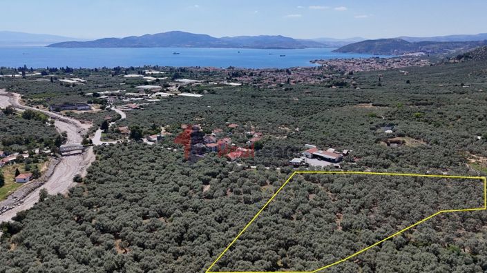 Image No.10-Property for sale