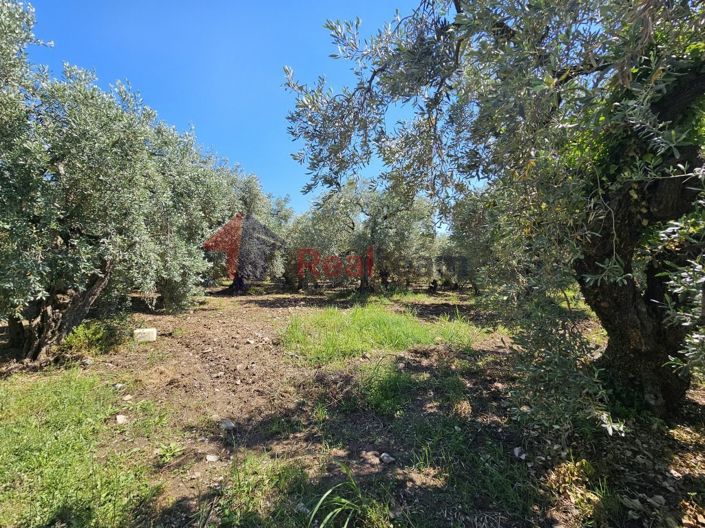 Image No.11-Property for sale