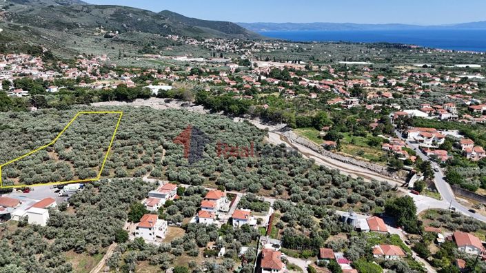 Image No.14-Property for sale