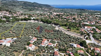 8e80f1e29c2444debdf898a7d73335f4