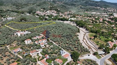 9f0c65e7df7240eb81a899785ceccb48