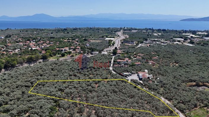 Image No.2-Property for sale