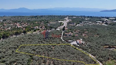 592324e574e84d66bfdd0ed12b35ae27