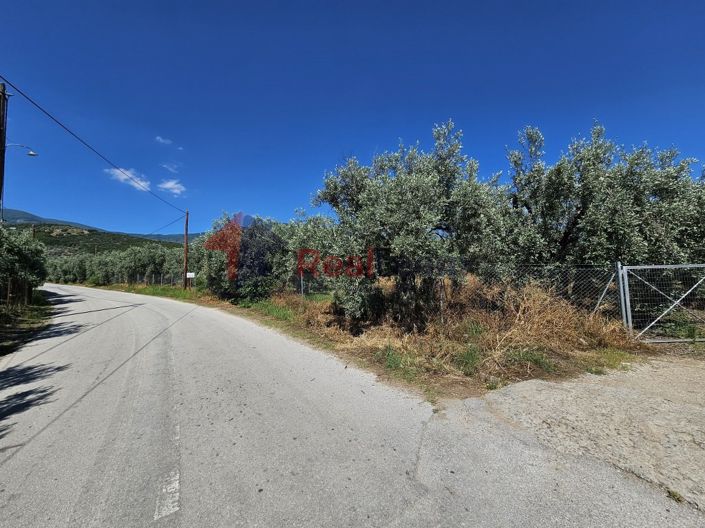 Image No.21-Property for sale