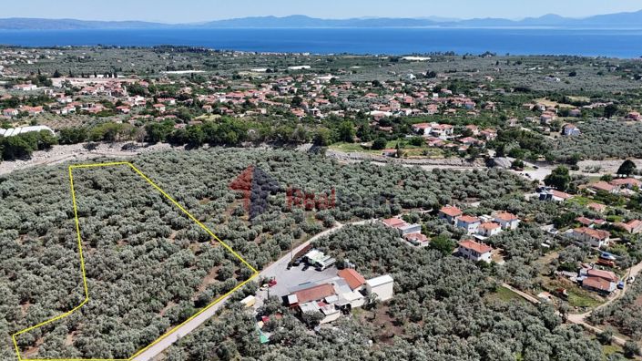 Image No.3-Property for sale