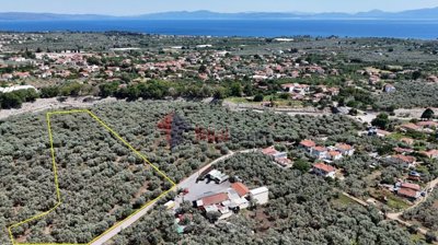 42a5c32c512e45ba9403ff8bc1e18077